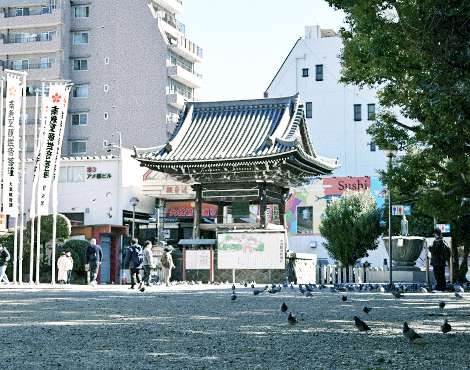 KURUPOクルポメッセージ_B