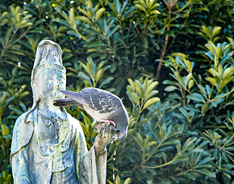 KURUPOクルポメッセージ_C