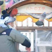 KURUPOクルポギャラリー_E