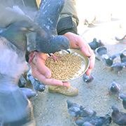 KURUPOクルポギャラリー_G