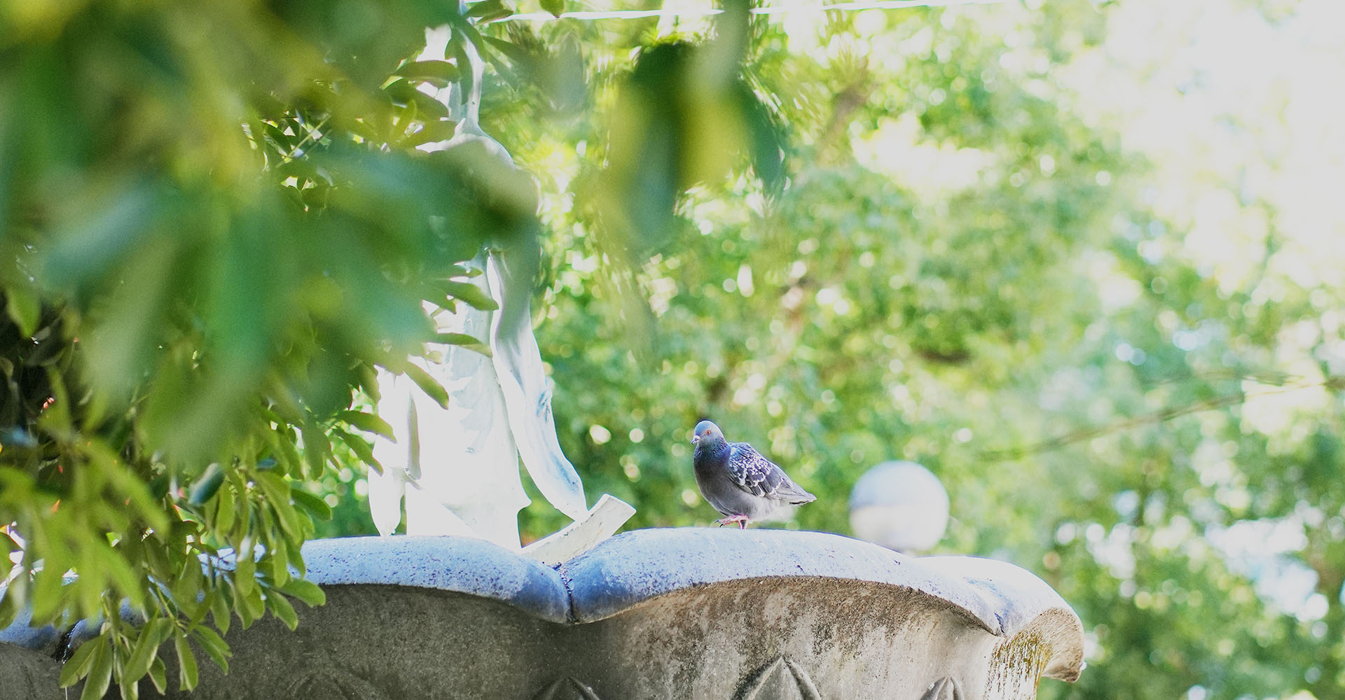 KURUPOクルポメイン_B