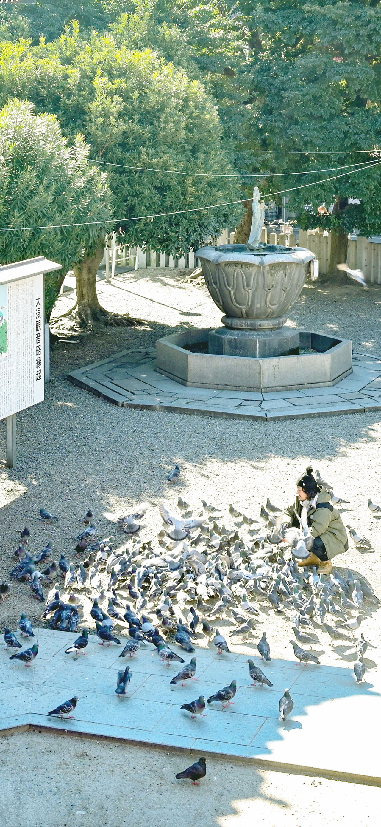 KURUPOクルポメイン_D